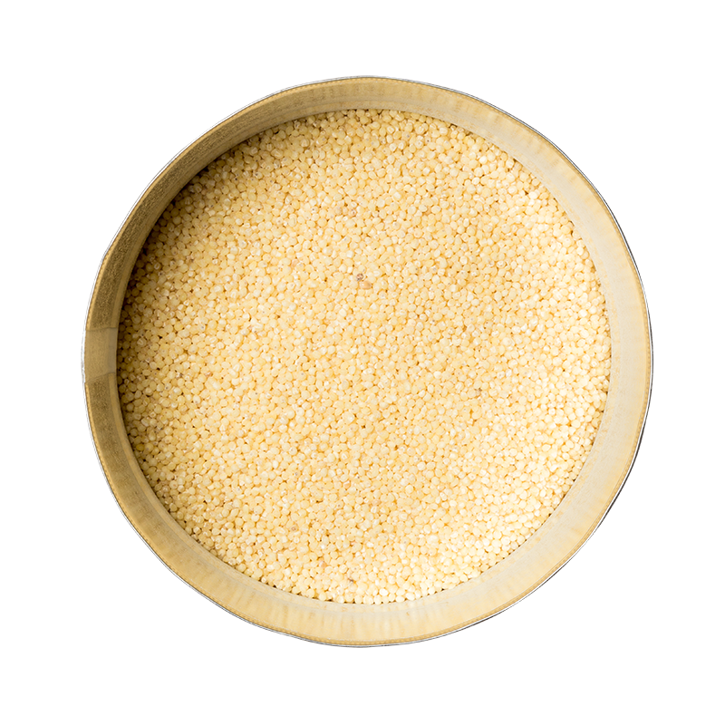 Goldhirse 6 Dosen
